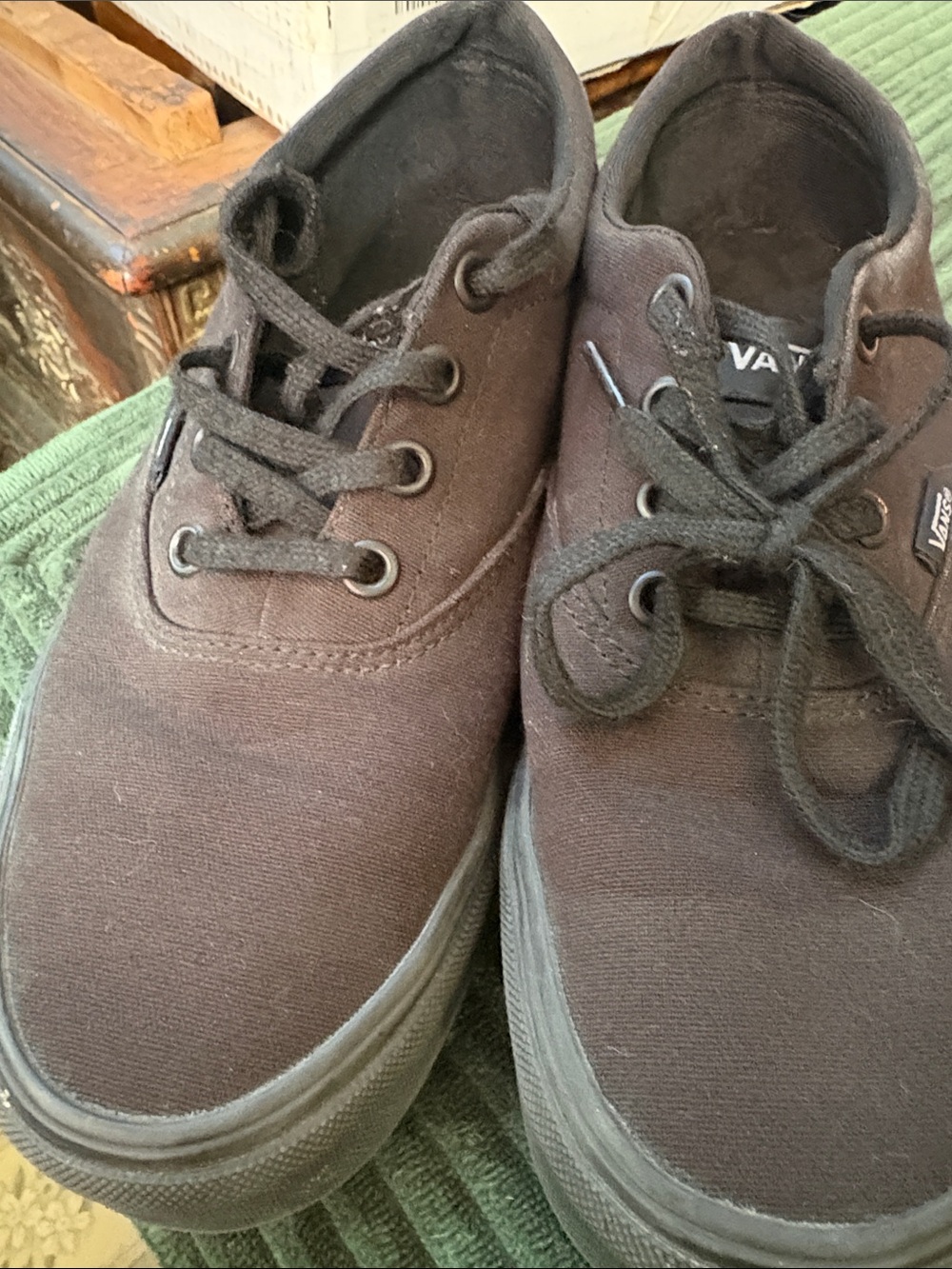 Vans Black Low-Top Canvas Sneakers